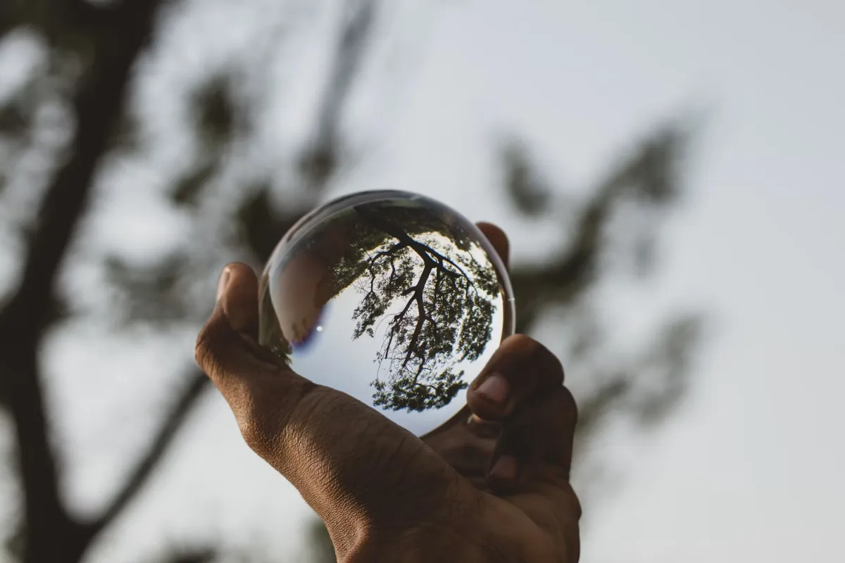 A person holding a clear glass ball that reflects an upside-down view of tree branches against the sky.