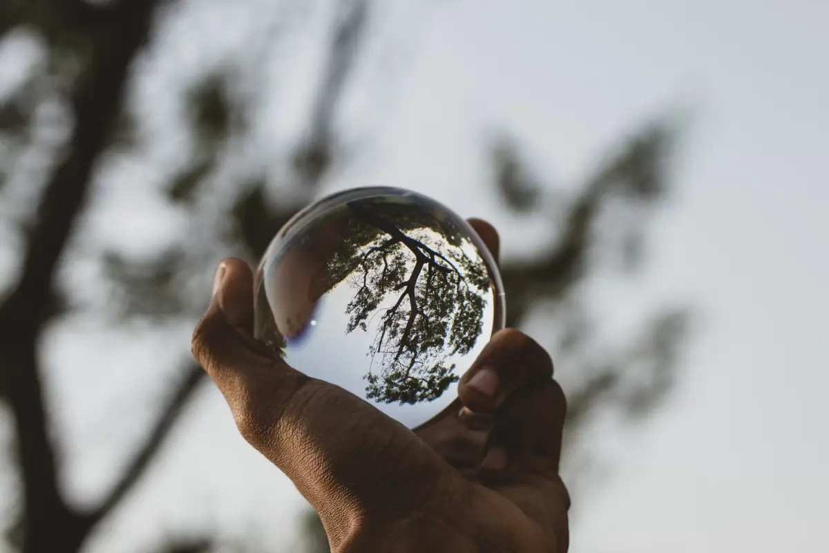 A person holding a clear glass ball that reflects an upside-down view of tree branches against the sky.